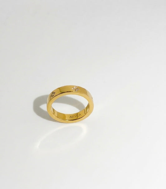 The Promise Ring